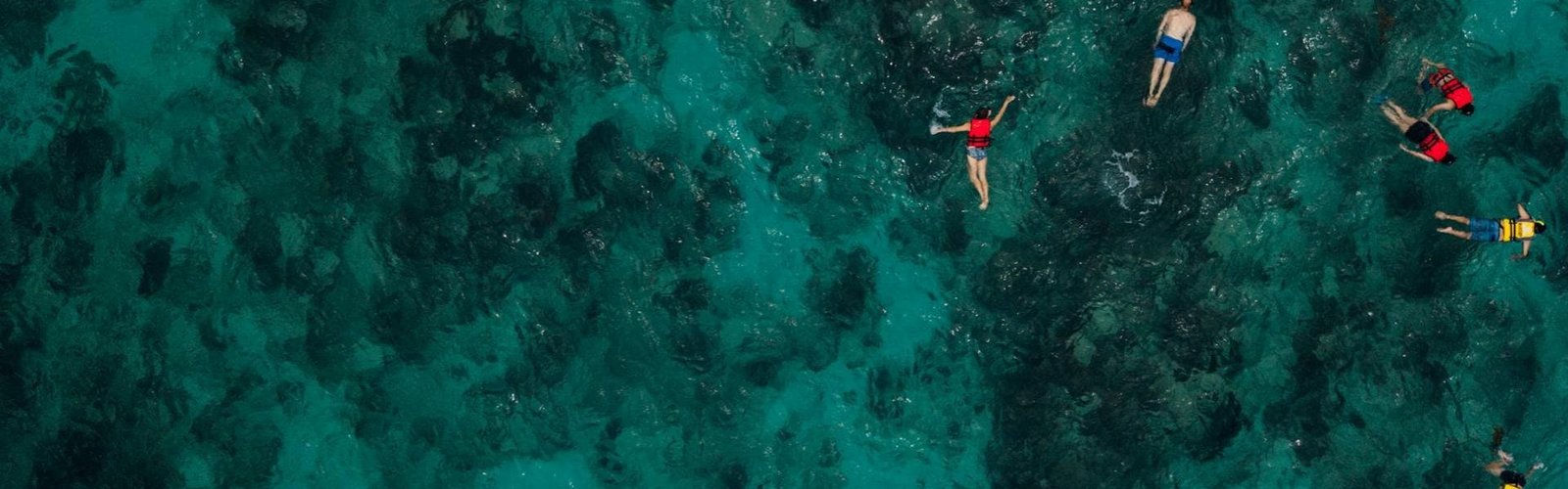 AllSamui - Ang Thong Snorkeling