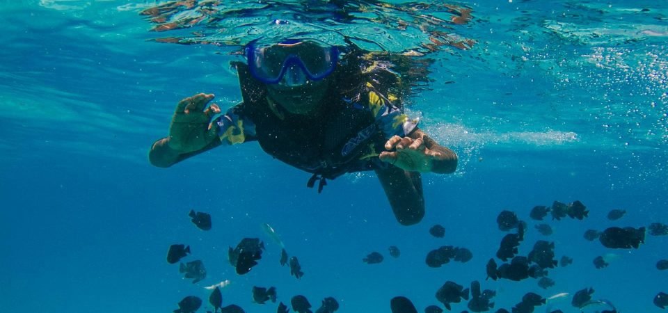 AllSamui explore ko tao snorkeling AllSamui explore ko tao snorkeling